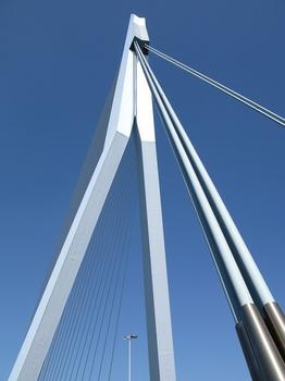 Erasmus Bridge