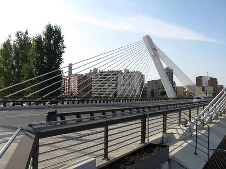 Lleida, Pont del Princep de Viana, 2010