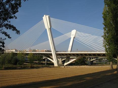 Lleida, Pont del Princep de Viana, 2010