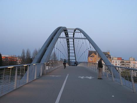 Huningue, Dreiländerbrücke (Passerelle des Trois Pays)