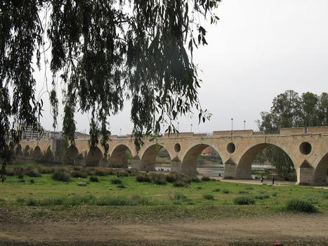 Badajoz, Puente de Palmas