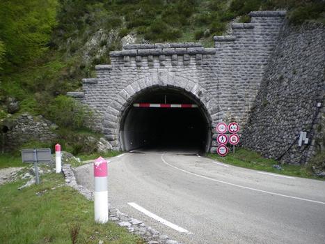 Tunnel du Roux