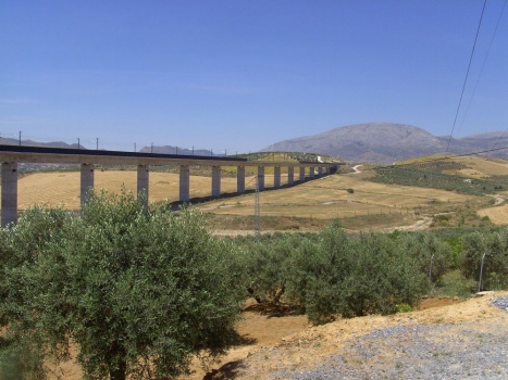Viadukt der Hochgeschwindigkeitsstrecke Córdoba-Málaga über den Arroyo Espinazo