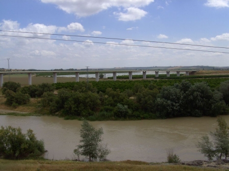 Palma del Río Bridge