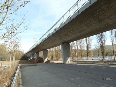 Pont Zweigart-Sawitzki