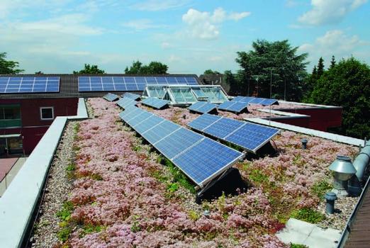Kombination mit Zukunft – Photovoltaik und Dachbegrünung