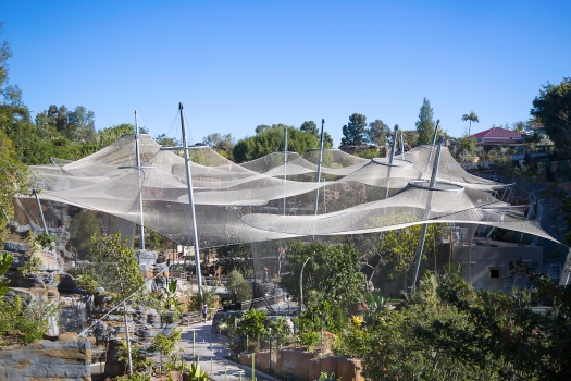 A transparent stainless steel mesh construction spans the enclosures of the new Africa Rocks development in San Diego Zoo.
: A transparent stainless steel mesh construction spans the enclosures of the new Africa Rocks development in San Diego Zoo.