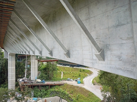 High-strength concrete was used in some parts of the girder in order to reduce slab and web thicknesses.
: High-strength concrete was used in some parts of the girder in order to reduce slab and web thicknesses.
