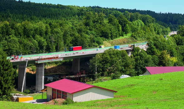 Immensitzbrücke (A81)