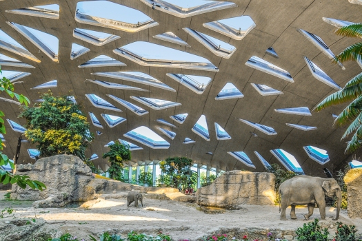 Innenansicht des Elefantenhauses und der imposanten Holzdachkonstruktion