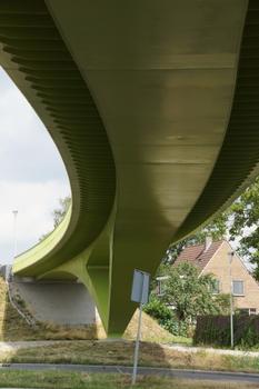 Graaf Alardsingel Footbridge