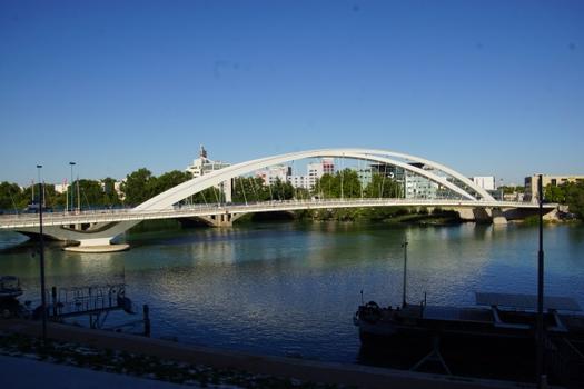 Pont Raymond-Barre