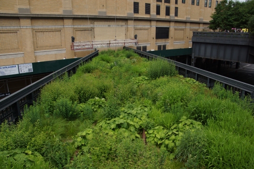 High Line 