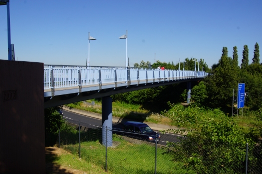 Rheinblick Footbridge