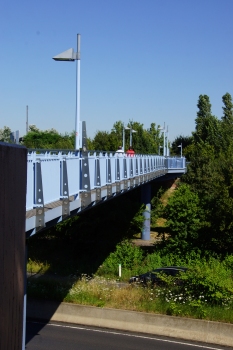 Geh- und Radwegbrücke Rheinblick