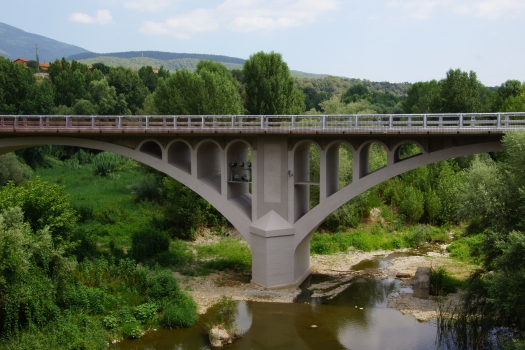 New Besalú Bridge