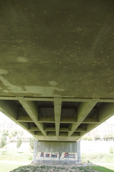 Alte Segrebrücke Lleida