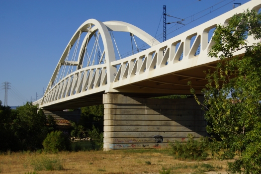 Pont ferroviaire de Zaragoza