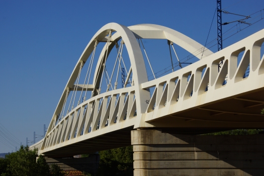 Pont ferroviaire de Zaragoza