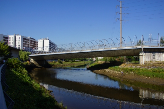 Metrobrücke über den Rio Galindo