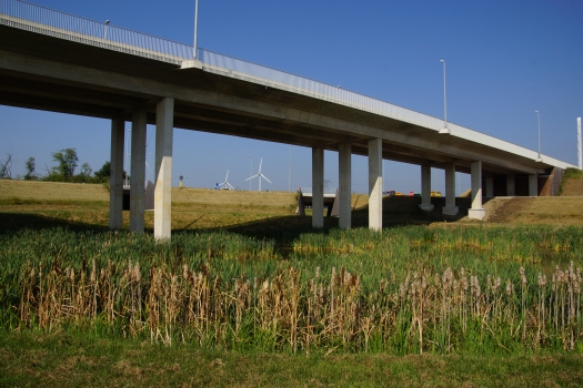 Westerlo N19 Overfly Bridge