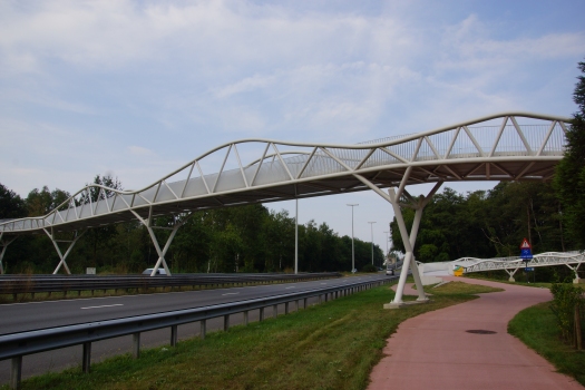 Geh- und Radwegbrücke Genk