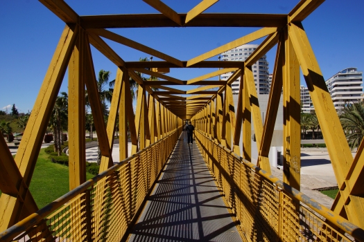 Turia Gardens Footbridge 