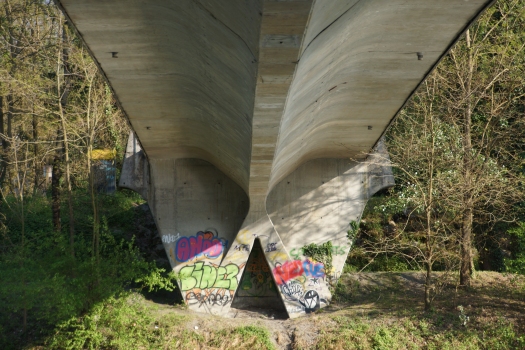 Meylan Footbridge