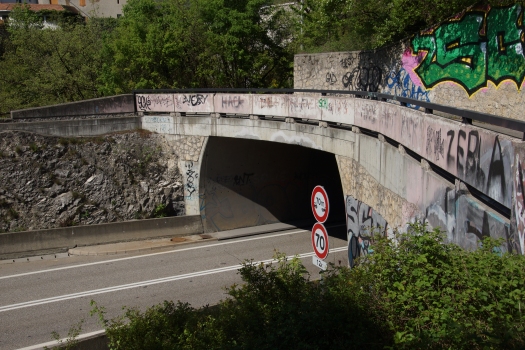 Le Pont-de-ClaixTunnel 