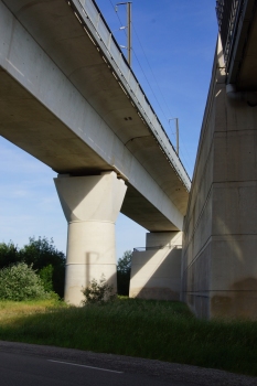 Avignon Viaducts