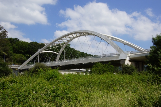 Miñobrücke Lugo 