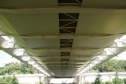 Miño River Bridge 