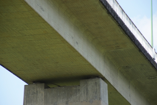 Lugo Bridge (N-540)