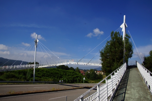 Vigo Footbridge