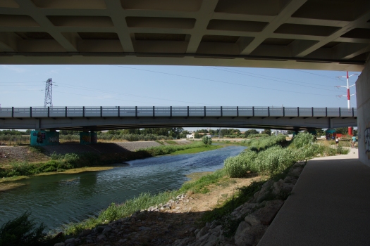 A9 Lez River Viaduct 