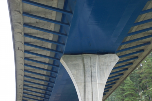 Talbrücke Arbizelai