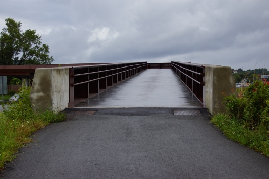 Geh- und Radwegbrücke Irún