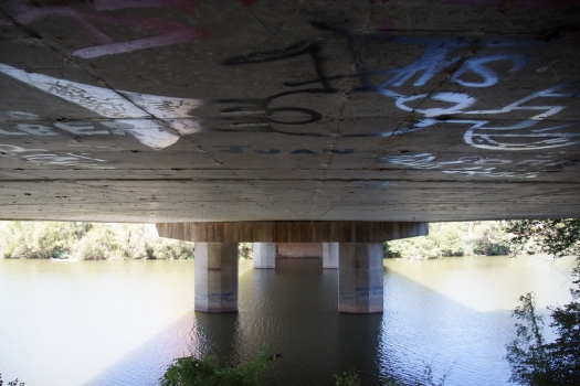 Puente de Arturo Eyríes