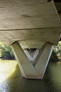 Puente de la Condesa Eylo Alfonso