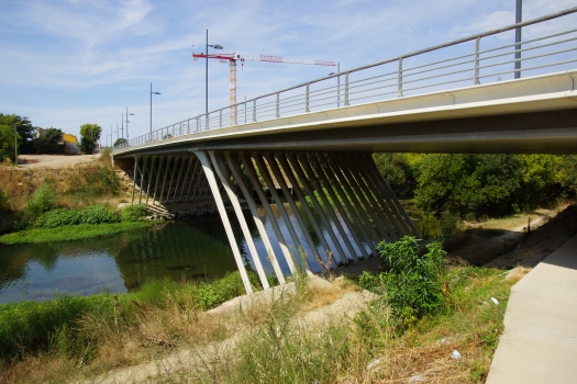 Pont André-Lévy