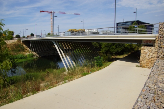 Pont André-Lévy
