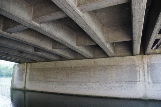 Pont Louis-Pasteur