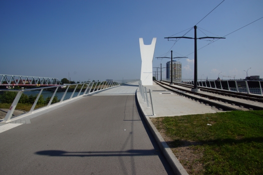 Beatus-Rhenanus-Brücke 
