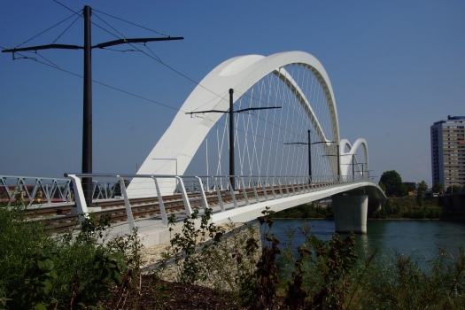Pont Beatus-Rhenanus