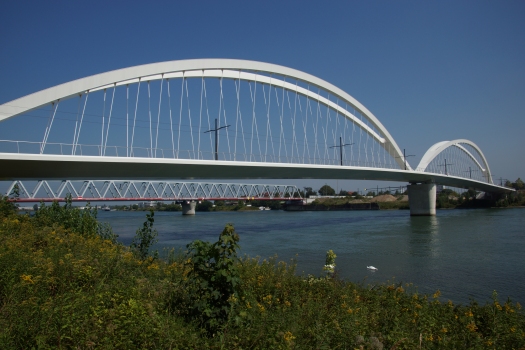 Beatus Rhenanus Bridge