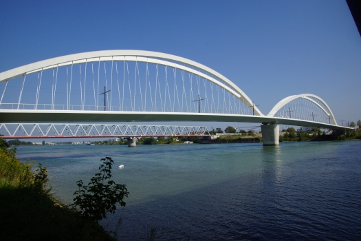 Beatus Rhenanus Bridge