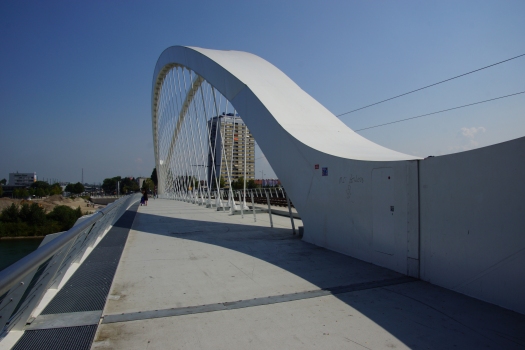 Beatus-Rhenanus-Brücke