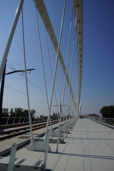 Pont Beatus-Rhenanus