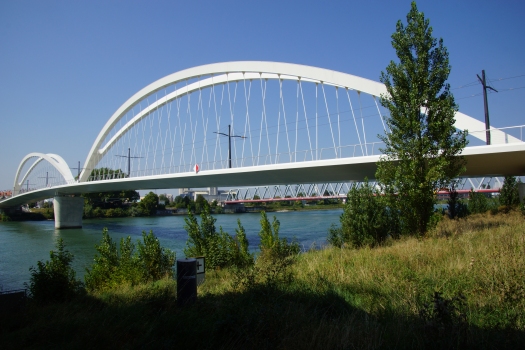 Beatus Rhenanus Bridge 