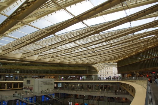 Les Halles Canopy 